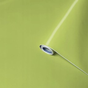 Öntapadós furnér bútorlap Anis Uni Mat Venilia 45 x 200 cm