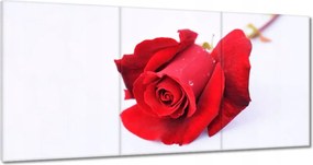 Vászonkép 180x90 Vörös rózsa a hóban