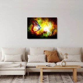 Kép - Kozmikus pillangó (üvegen) (70x50 cm)