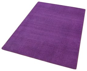 Sötétlila szőnyeg 160x240 cm Fancy – Hanse Home