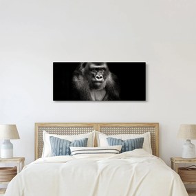 Kép - Gorilla (120x50 cm)