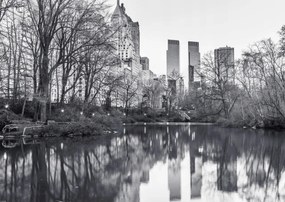 Poszter 84x59,5cm Központi park Manhattan panorámával 4, Assaf Frank