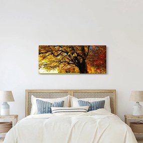 Egy őszi fa képe (120x50 cm)