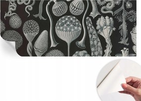 Divatos öntapadós fali tapéta Furnér Varázslatos növények 250x104 cm