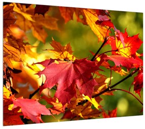 Őszi levelek képe (70x50 cm)