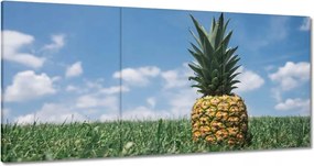 Festmények 120x60 Ananász tájkép