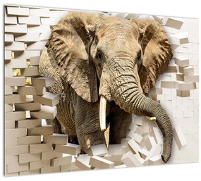 Kép - Egy elefánt áttör a falon (üvegen) (70x50 cm)