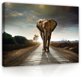 Vászonkép, Elefánt az úton 80x60 cm méretben