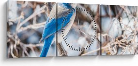 Kép - Téli madár (órával) (90x30 cm)