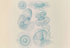 Fotótapéta Flizelina Nappali és Hálószoba Tengeri medúzák 152x104 Ragasztó