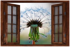 Poszterek 120x80 Pitypang Virág Virágok