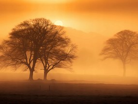 Poszter 80x60cm Alkonyat a tisztások felett
