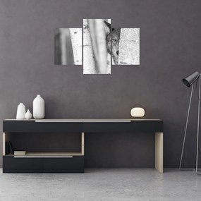 Kép - Farkas az erdőben (90x60 cm)