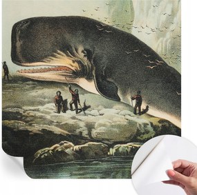 Fotótapéta Öntapadós Fali Falfestmény Tengeri óriás 250x250 cm