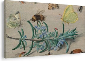 Kép - Jan van Kessel the Elder, Insects and a Sprig of Rosemary, reprodukciók (90x60 cm)