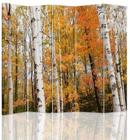 Gario Paraván Nyírfaerdõ osszel Méret: 180 x 170 cm, Kivitelezés: Forgó paraván 360°