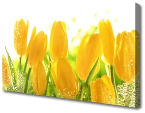 Vászonkép Tulipán virágok Plant 100x50 cm