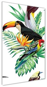 Üvegkép Trópusi madarak osv-82973697
