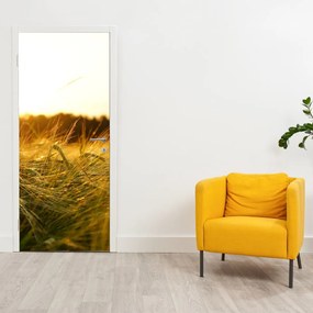 Fotótapéta ajtóra - Harmatos fű (95x205cm)