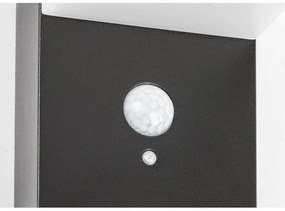 Rabalux 77009 - LED Napelemes lámpa érzékelővel ZREBAR LED/6W/3,7V IP44