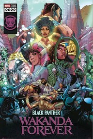 Plakát Black Panther: Wakanda Forever