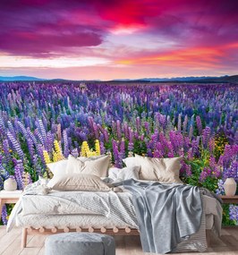 Gario Fotótapéta Heather, virágok a réten Anyag: Vlies, Méret: 200 x 200 cm