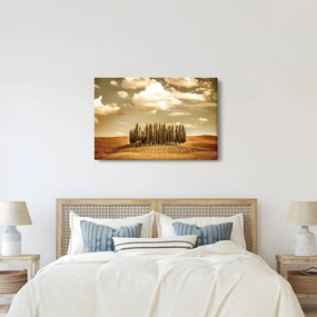 A Tisztás képe (90x60 cm)
