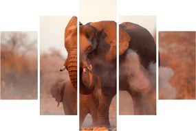 Kép - Nagy afrikai elefánt (150x105 cm)