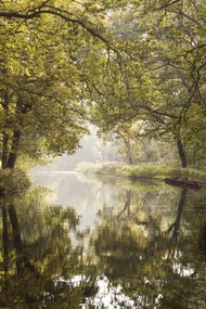 Poszter 40x60cm Csatorna Basingstoke 2, Assaf Frank