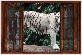 Poszterek 90x60 Fehér tigris Nagy macska