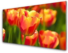 Üvegfotó Tulipán virágok Plant 100x50 cm 2 fogas