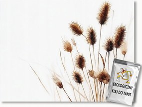 Fotótapéta Flizelina Természet Dekoráció Szárított Fű Szárított 350x250 ragasztó