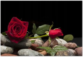 Poszterek 200x135 Spa Wellness Relaxáció Víz