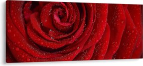 Kép - részlet a rózsáról (120x50 cm)