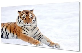 Üvegképek Tiger tél 100x50 cm