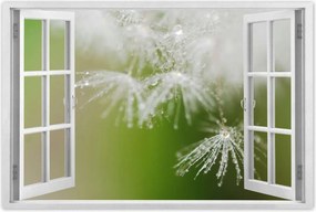 Poszterek 90x60 Pitypang Virág Virágok