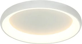 ZAMBELIS 2049 Kerek Mennyezeti Lámpa LED IP20
