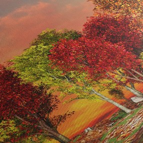 Kép - Színes fák (70x50 cm)