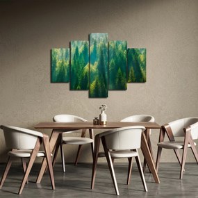 Kép - fenyőerdő (150x105 cm)