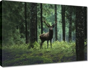 Vászonkép 70x50 Szarvas az erdő közepén
