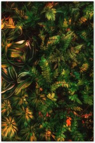 Poszterek 80x120 Trópusi levelek Levelek