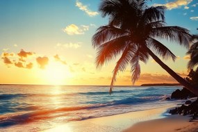 Fotótapéta Flizelina Tájkép Tengerpart Óceán Pálma Napnyugta 312x219 ragasztó