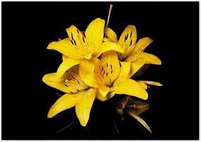 Poszterek 100x70 Sárga liliom csokor