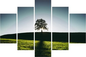 Természet kép - fa (150x105 cm)
