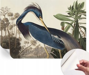 Matt öntapadós fotótapéta Falra Egzotikus természet 152x104 cm