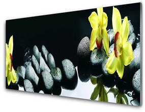 Modern üvegkép orchidea virág 100x50 cm 2 fogas