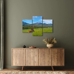 Kép - Szarvas a réten (90x60 cm)