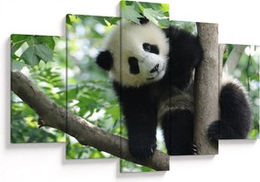 Kép - Panda a fán (150x105 cm)