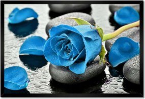Poszterek keretben 60x40 Kék rózsa kövek