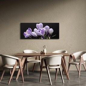 Kép - Lila krókuszok (120x50 cm)